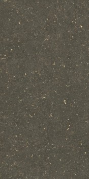Керамогранит 785495 Rinascenza Arena Platino Grip 60х120