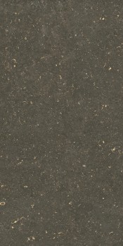Керамогранит 785511 Rinascenza Arena Platino Grip 20mm 60х120
