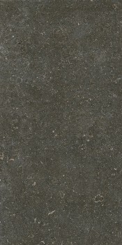 Керамогранит 785577 Rinascenza Arena Platino Matte 6mm 60х120