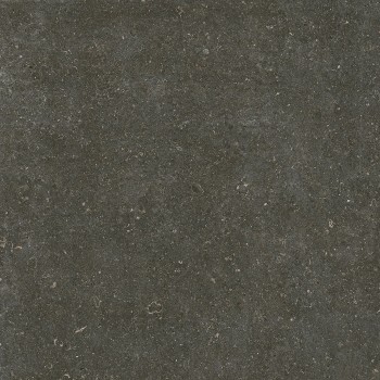 Керамогранит 785581 Rinascenza Arena Platino Matte 6mm 120х120