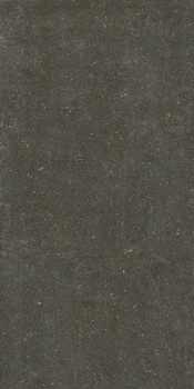 Керамогранит 785585 Rinascenza Arena Platino Matte 6mm 120х240