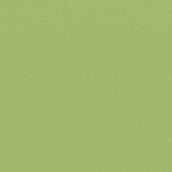 Casalgrande Padana Architecture Acid Green 30x30