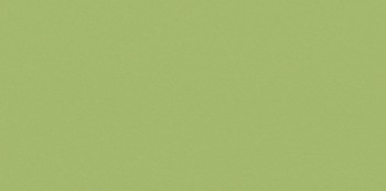 Casalgrande Padana Architecture Acid Green 30x60