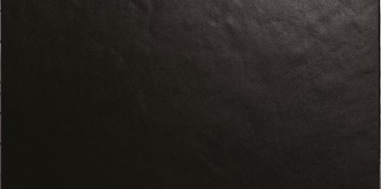 Casalgrande Padana Architecture Black Levigato 30x60