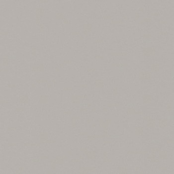 Casalgrande Padana Architecture Cool Grey 30x30