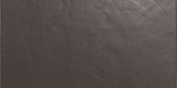 Casalgrande Padana Architecture Dark Grey Levigato 30x60
