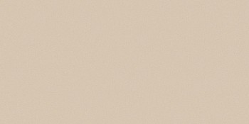 Casalgrande Padana Architecture Dark Ivory 30x60
