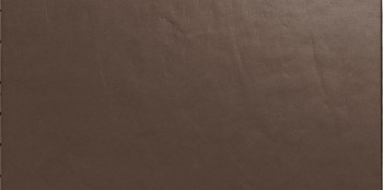 Casalgrande Padana Architecture Light Brown Gloss 30x60