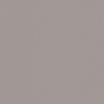 Casalgrande Padana Architecture Light Grey 30x30