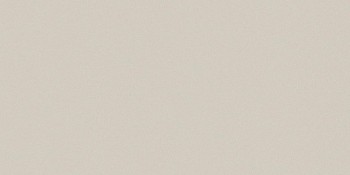 Casalgrande Padana Architecture Warm Grey 45x90