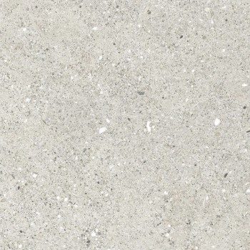 Керамогранит Ceradim СR6060G0461R Гранито Гриджио 59.5х59.5