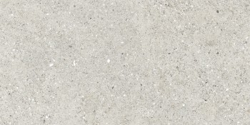 Керамогранит Ceradim Granito CR6012G0471R8 Гранито Гриджио серый матовый 59.5х119.1 Керамогранит Ceradim Granito CR6012G0471R8 Гранито Гриджио серый матовый 59.5х119.1