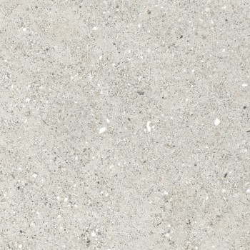Керамогранит Ceradim Granito CR6060G0461R8 Гранито Гриджио серый матовый 59.5х59.5 Керамогранит Ceradim Granito CR6060G0461R8 Гранито Гриджио серый матовый 59.5х59.5