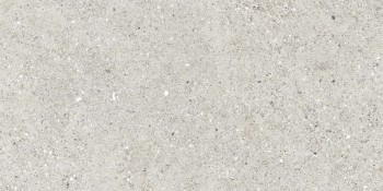 Керамогранит Ceradim Granito Grigio Серый Матовый 59.5х119.1 Керамогранит Ceradim Granito Grigio Серый Матовый 59.5х119.1