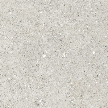 Керамогранит Ceradim Granito Grigio Серый Матовый 59.5х59.5 Керамогранит Ceradim Granito Grigio Серый Матовый 59.5х59.5