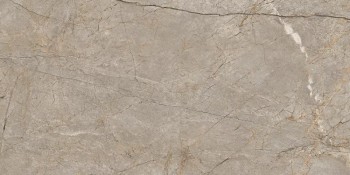 Керамогранит 17124 Silver Roots серый матовый ректификат 60х120 Керамогранит 17124 Silver Roots серый матовый ректификат 60х120