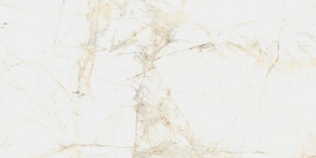 Coliseumgres Канова Уайт 60х120