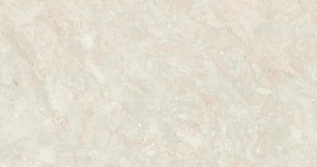 Delfone MonetS Garden D1632Dg2135N Light Beige Breccia 12 mm 161х322