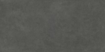 Delfone Plain Da2S231Bc Cement Medium-Grey 12 mm 120х240