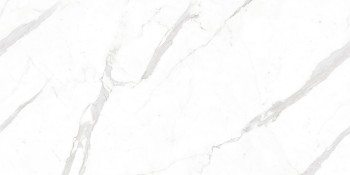Delfone Saint Blanc Dc6M78Br4-N Calacatta 120х270