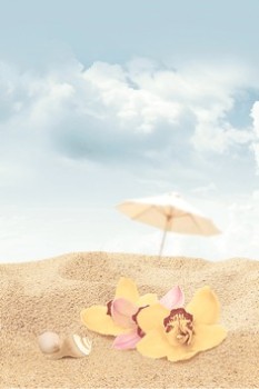 Дельта Керамика Cocktail D3 D3D140 20x30