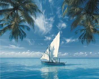 Дельта Керамика Ocean Sailboat из 2-х Плиток 40x50