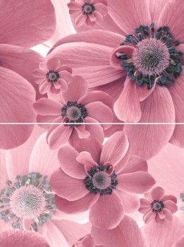 Дельта Керамика Pastel P2-1D124 (из 2-х пл.) 30x40