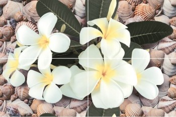 Дельта Керамика Seashore P4D173 (из 4-х пл.) 40x60
