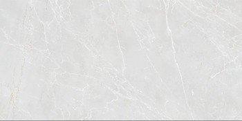 Керамогранит Eternal Blanco Carving 60x120 Керамогранит Eternal Blanco Carving 60x120