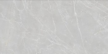 Керамогранит Eternal Grigio Carving 60x120 Керамогранит Eternal Grigio Carving 60x120