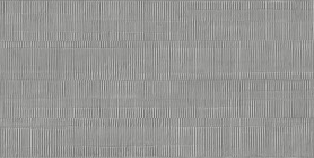 Ergon Pigmento Cardboard Grigio Basalto Siltech 60х120