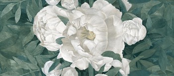 Ergon Pigmento Peonia A 120х278
