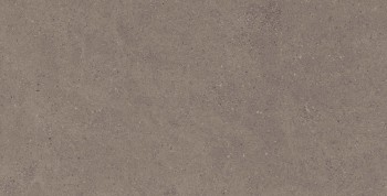 CE04 60х120х9 Структур.Рект.