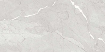 Керамогранит Evolution ceramic Hawk Silver Carving 60х120