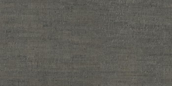 Florim Rinascenza Modulo Lichene Antico Matte 120х240