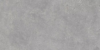 Керамогранит Memory Gris Matt 60х120 Керамогранит Memory Gris Matt 60х120