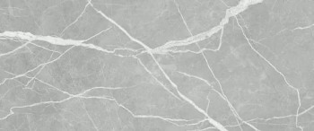 Плитка 010100001532 Modello grey 04 25х60