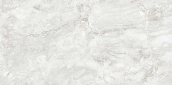 Керамогранит Rizi Silver Carving 60х120 Керамогранит Rizi Silver Carving 60х120