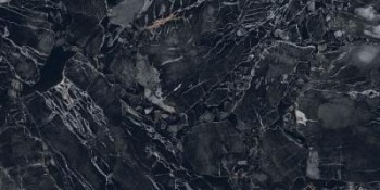 Gresant Carving Black Forest Dark 60х120 Gresant Carving Black Forest Dark 60х120