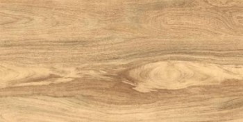 Gresant Carving Taiga Light 60х120 Gresant Carving Taiga Light 60х120