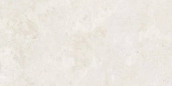 Керамогранит Salma Bone Matt 59.5х119.2 Керамогранит Salma Bone Matt 59.5х119.2