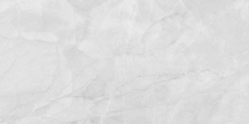Керамогранит Laparet LP6012G0231R Берна Сильвер / Berna Silver 59.5х119.1