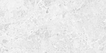 Laparet Brecia Adonis Grey Светло-Серый 60x120 Глянцевый