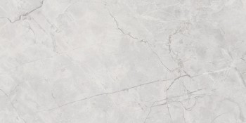 Connect Gris Керамогранит серый SG50002922R 60х119,5 полированный
