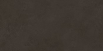 Evolution marron Плитка настенная 48036R 40x80 матовый обрезной