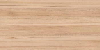 Organic Плитка настенная коричневый 08-01-15-2453 20х40