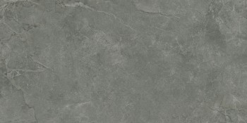 Pluto Grigio Керамогранит серый SG50005320R 60х119,5 матовый