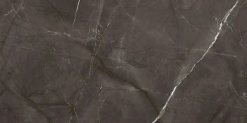 Керамогранит Laparet LP6012G0051R Таймлесс Маррон /Timeless Marrone 60х120 (59.5х119.1