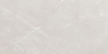 Laparet Vitrum Grey Серый 60x120 Полированный