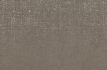 Lea Ceramiche Slimtech Take Care C-Ground Nat 5 Plus 100х150